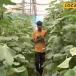 बीकानेर