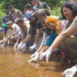 कसारागोड में गंभीर रूप से लुप्तप्राय कछुए को बचाने पर एक वृत्तचित्र दादासाहेब फाल्के पुरस्कार जीतता है