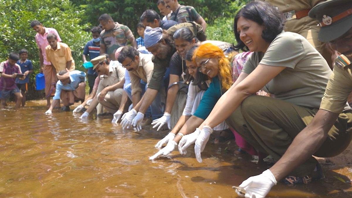 कसारागोड में गंभीर रूप से लुप्तप्राय कछुए को बचाने पर एक वृत्तचित्र दादासाहेब फाल्के पुरस्कार जीतता है