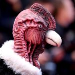 कान 2025: कोंडोर-कॉस्टम्ड मैन ने लिन रामसे की 'डाई, माई लव' रेड कार्पेट पर स्पॉटलाइट चोरी की