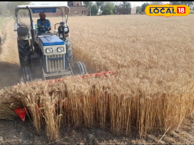 किसानों के लिए चमगादड़!