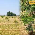 चट्टान का