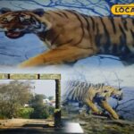 कैलदेवी