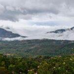 कोडयकनल | यह पश्चिमी घाट के आकाश द्वीपों की रक्षा के लिए एक गाँव लेता है