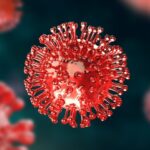 चार दिन पहले चंडीगढ़ में 40 -वर्षीय रोगी की मृत्यु हो गई, स्वीकार किया