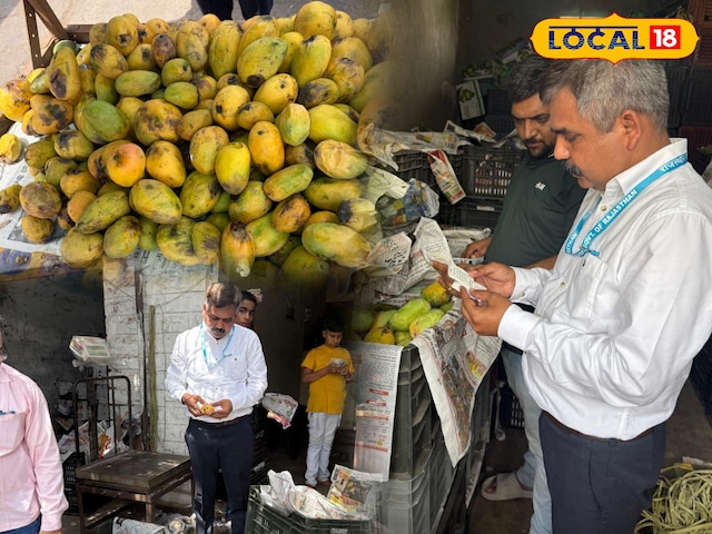 क्या आप भी पैसे बचाने के लिए सस्ते फल खरीदते हैं? पाली में 500 किलोग्राम आम को नष्ट कर दिया गया था