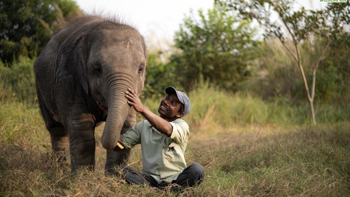 चेन्नई और बैंगलोर में विश्व पर्यावरण दिवस की घटनाएं 2025