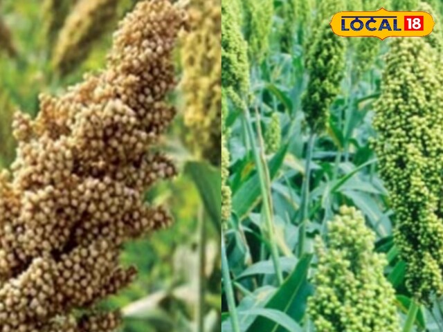 जब पुलिस की वर्दी को उतार दिया गया, तो किसान को हल कर दिया गया, अब 66 वर्ष की आयु में, खेत बनाए गए थे