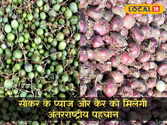 जीआई उत्पाद: सिकर के प्याज और कैर को जीआई टैग मिलेगा, स्थानीय उत्पादों की पहचान, बाजार में कीमतें बढ़ेंगी