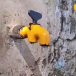 झुनझुनु