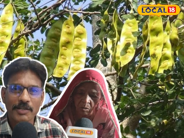 दादी के सुझाव! यह दवा जड़ से जोड़ों के दर्द को समाप्त करती है, दवा इसका पत्ता है … फूल …