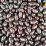 बैंगनी का यह फल अद्भुत है, केवल 3 महीने; सौंदर्य एक खजाना है