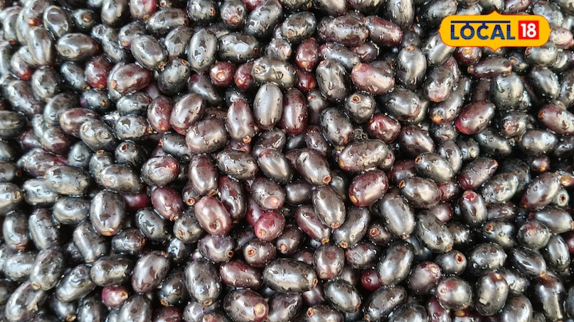 बैंगनी का यह फल अद्भुत है, केवल 3 महीने; सौंदर्य एक खजाना है