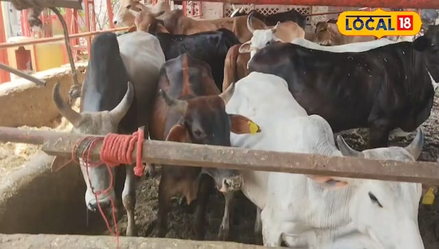गौमुट्रा