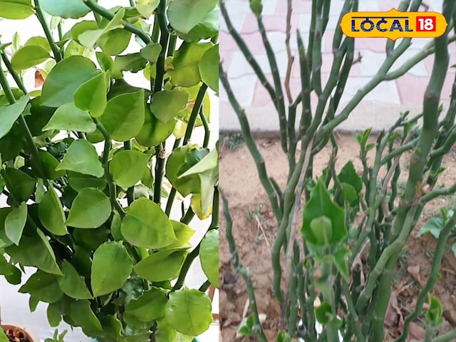 सोने का कमरा