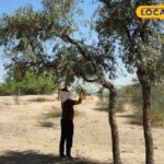 रेगिस्तान