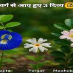 समाचार 18