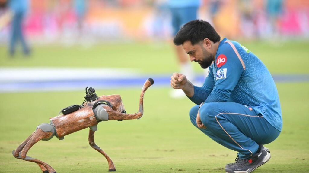 रशीद खान अवांछित सूची में शामिल होते हैं; एक आईपीएल सीजन में संयुक्त सबसे छक्के को जोड़ता है