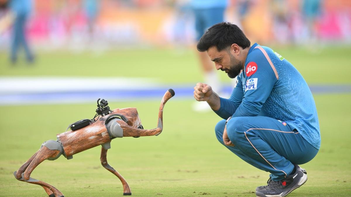 रशीद खान अवांछित सूची में शामिल होते हैं; एक आईपीएल सीजन में संयुक्त सबसे छक्के को जोड़ता है