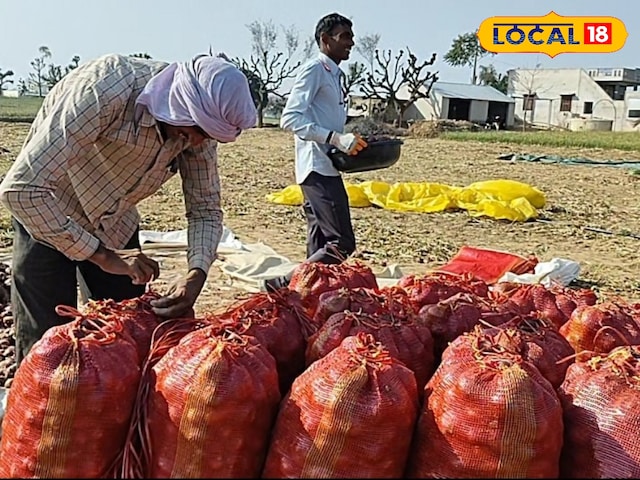 राजस्थान का यह गाँव प्याज और दूध की खदान है, यहां से देश को आपूर्ति करता है, 80% लोग कृषि पर निर्भर हैं