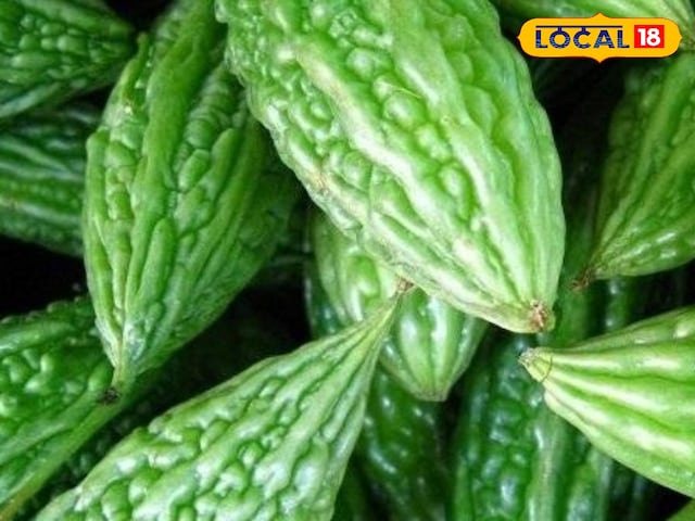 लागत 7 हजार, लाभ कई गुना! एक बीघा में 400 किलोग्राम तक बढ़ने वाला कड़वा