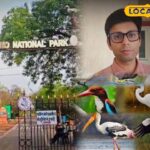 वन्यजीव