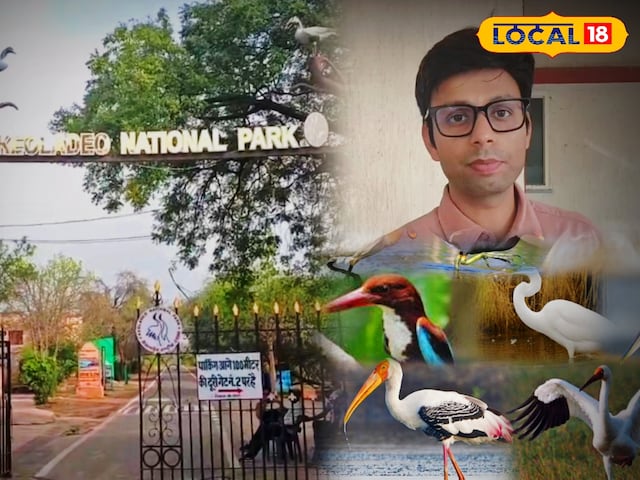 वन्यजीव