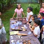 विशाखापत्तनम में इस पोर्टेबल नेचुरल हिस्ट्री म्यूजियम में वाइल्ड अप क्लोज़ का अनुभव करें