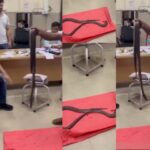 वीडियो: सांप जो उस व्यक्ति को काटता है जो उसके साथ अस्पताल पहुंचा, डॉक्टर भी दंग रह गए