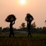 हमारे राष्ट्र का निर्माण करने वाले हाथ: मई दिवस का सम्मान