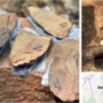 हरियाणा में खुदाई में पाया गया 500,000 साल पुराना खजाना, एएसआई ने सौंप दिया