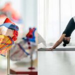 हृदय स्वास्थ्य के लिए योग: 7 योग पोज़ जो हृदय स्वास्थ्य को बढ़ावा देने में मदद कर सकते हैं