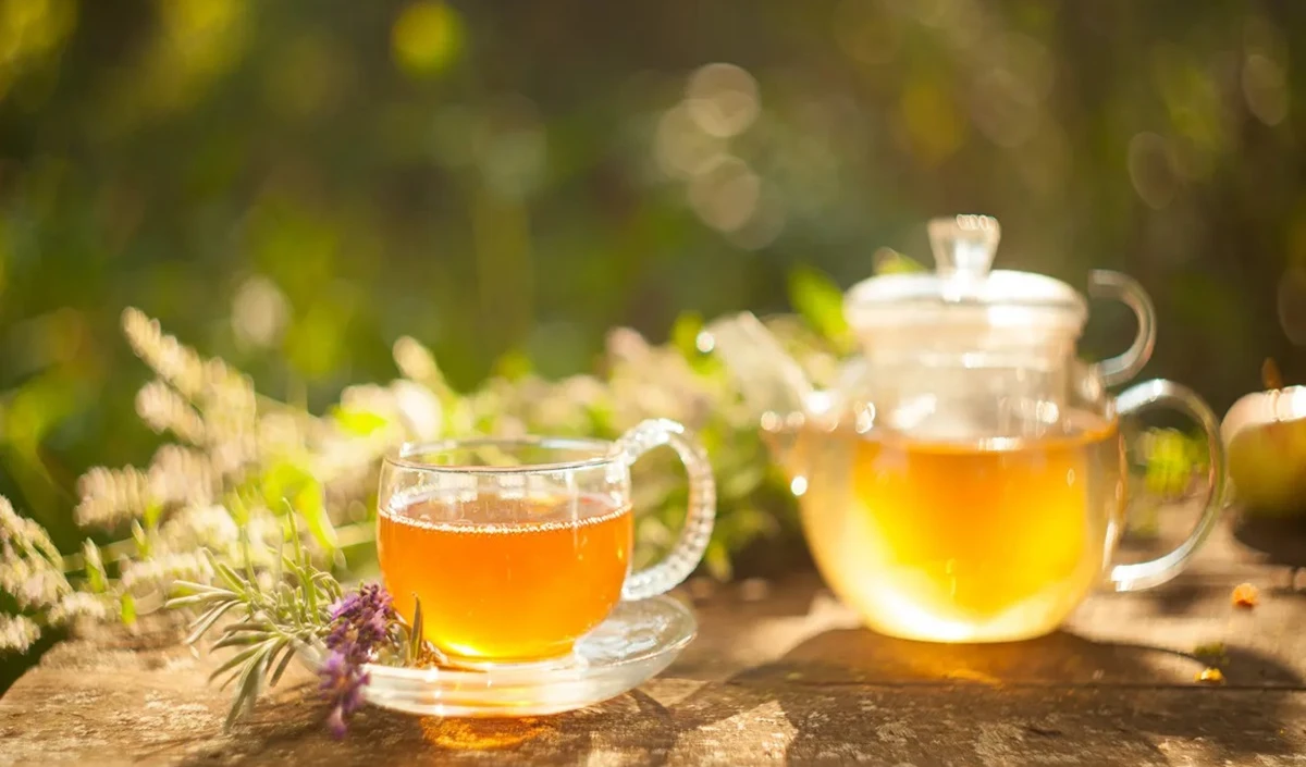 हेल्थ टिप्स: इस चाय को रोज पीने से रिवर्स, वेट लॉस में मदद मिलेगी