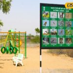 रेगिस्तान में भी विदेशी पक्षी शिविर