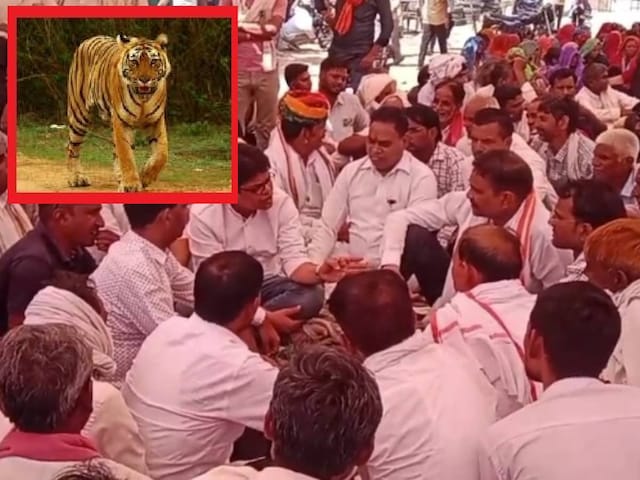 Ranthambore Tiger Reserve: Khouf ने मनुष्यों और वन विभाग की नींद भरी, किससे दोष है?