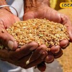 अयोग्य गिनती शुरू होती है ... क्या खाद्य सुरक्षा योजना में अभी भी नाम है? 30 जून