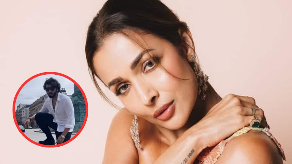 अर्जुन कपूर जन्मदिन: पूर्व -बॉयफ्रेंड स्पार्क्स बज़ -वैच के लिए मलाइका अरोरस कैंडिडे विश