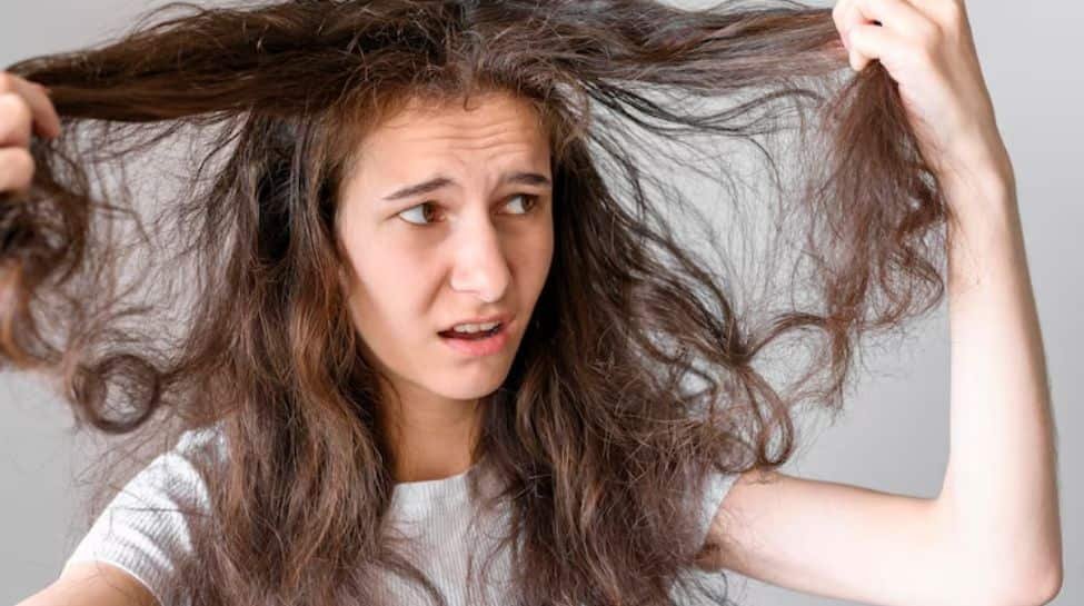 इस गर्मी के हेयरकेयर चेकलिस्ट के साथ fabulusly Frizz- मुक्त रहें!