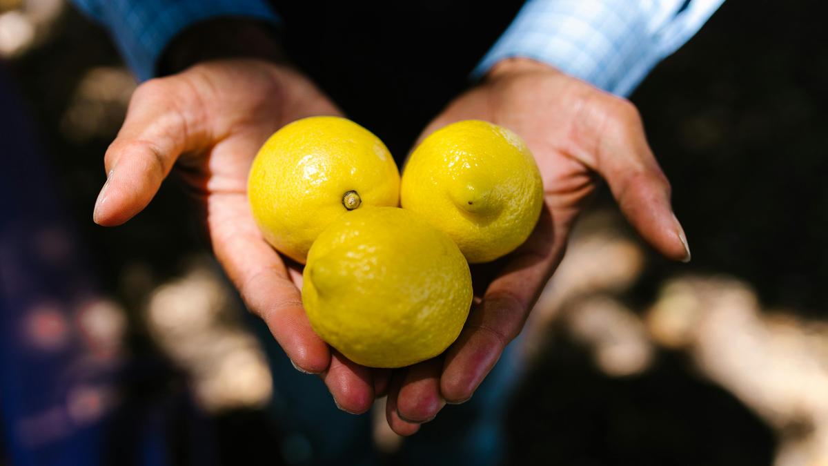 ऐतिहासिक रूप से, क्या जीवन वास्तव में हमें नींबू देता है?