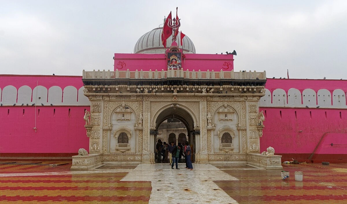 करनी माता मंदिर: चूहों की पूजा राजस्थान में कर्नी माता मंदिर में की जाती है, हजारों चूहे मंदिर में रहते हैं