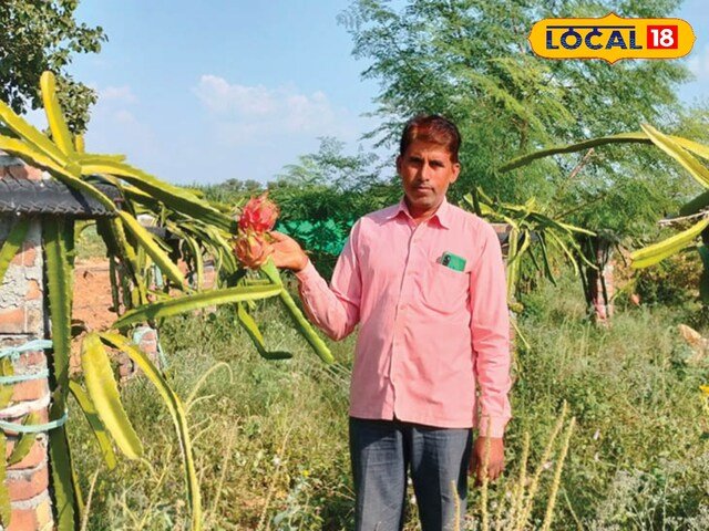 किसानों ने विदेशी फल की खेती करके, कम लागत पर दोहरा मुनाफा कमाया