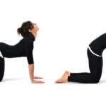 कैट-गाय पोज़ के लिए उच्च तख़्त: सबसे अच्छा व्यायाम आप घर पर कर सकते हैं आसन को बेहतर बनाने के लिए