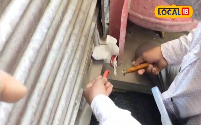 के बारे में