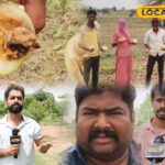 किसानों