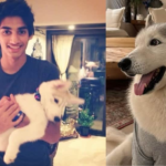 जब तक हम फिर से अथिया और अहान शेट्टी के प्रिय पालतू ब्रॉडी से नहीं मिलते