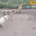 प्रत्येक