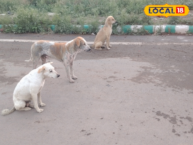 प्रत्येक