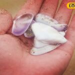 स्प्रे को साबुन से हाथ धोने के लिए भी बनाया जा सकता है