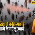 समाचार 18