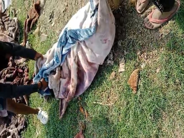 डॉग अटैक: जर्मन शेफर्ड एक 5 -वर्ष का बच्चा काटता है, गुस्से में रिश्तेदारों ने कुत्ते को मार डाला और दो परिवारों का सामना किया